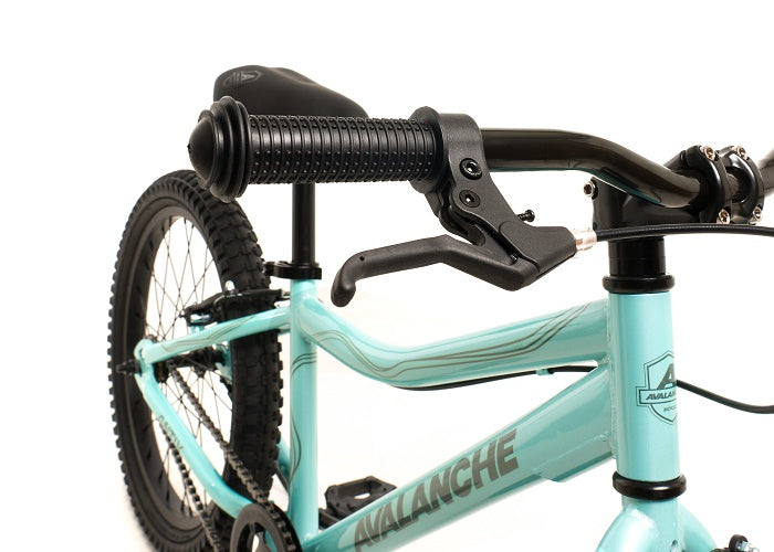 Avalanche Antix 20