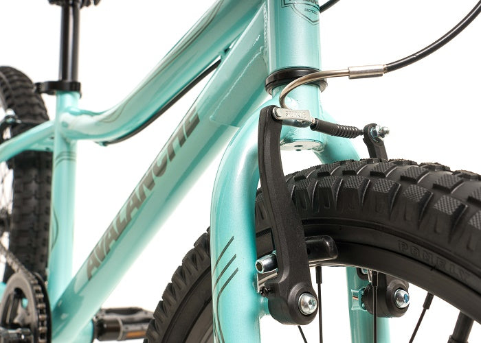 Avalanche Antix 20