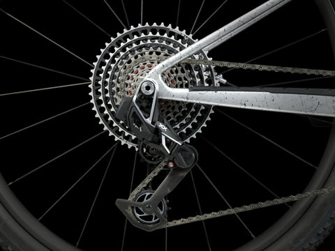2024 Trek Supercaliber SLR 9.9 XX AXS Gen 2 Argent Drizzle - biket.co.za