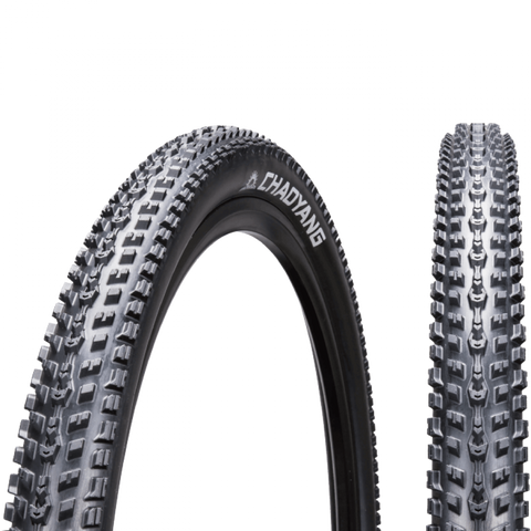Chaoyang Hornet 29X2.1 - biket.co.za