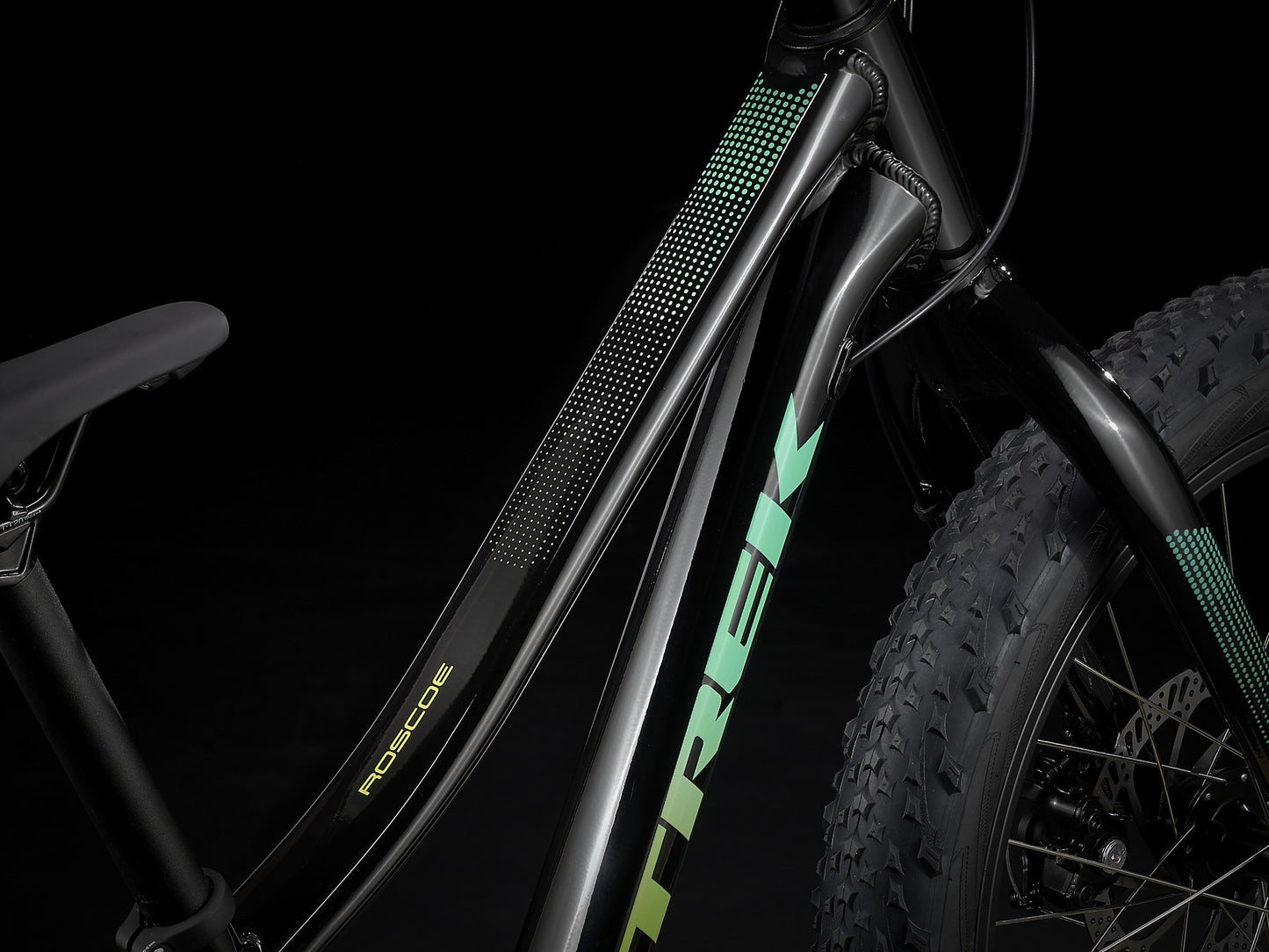 2023 Trek Roscoe 20inch - biket.co.za