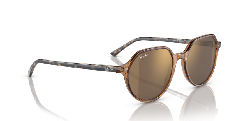 
                  
                    Ray-Ban Thalia- Transparent Brown - biket.co.za
                  
                