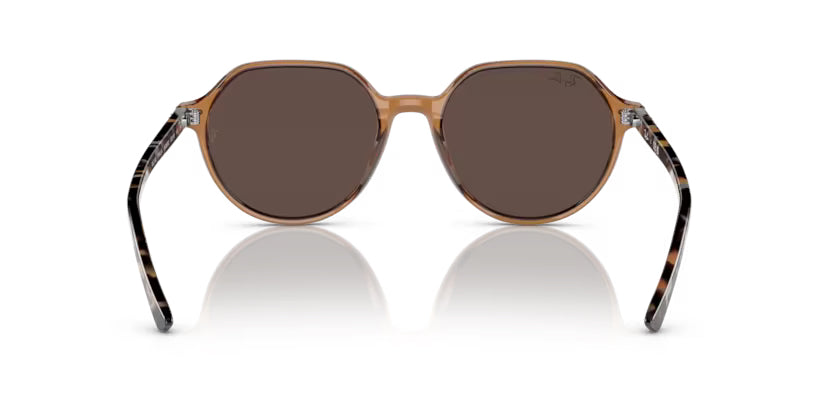 
                  
                    Ray-Ban Thalia- Transparent Brown - biket.co.za
                  
                