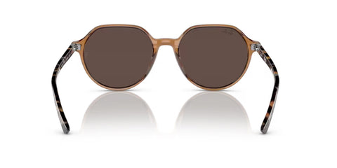 Ray-Ban Thalia- Transparent Brown - biket.co.za