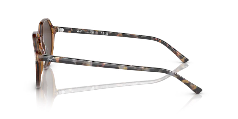 
                  
                    Ray-Ban Thalia- Transparent Brown - biket.co.za
                  
                