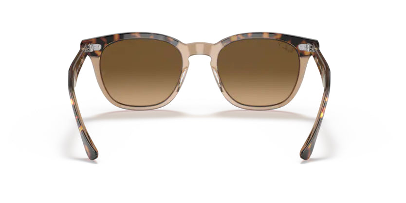 
                  
                    Ray-Ban Hawkeye- Havana on Transparent Brown - biket.co.za
                  
                