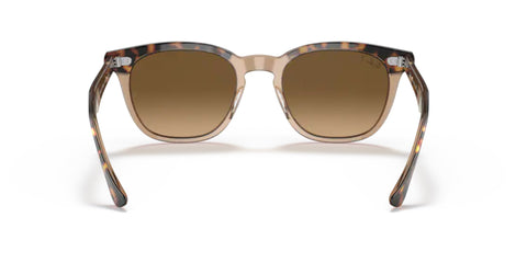 Ray-Ban Hawkeye- Havana on Transparent Brown - biket.co.za