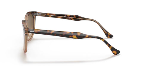 Ray-Ban Hawkeye- Havana on Transparent Brown - biket.co.za