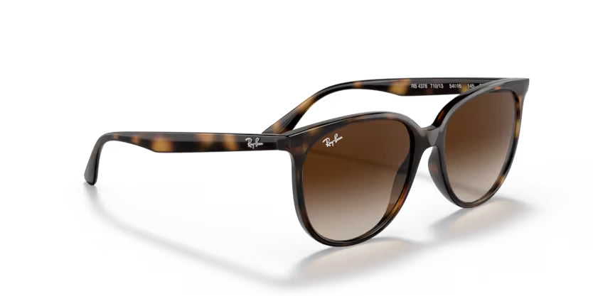 
                  
                    Ray-Ban Havana- Brown Gradient - biket.co.za
                  
                