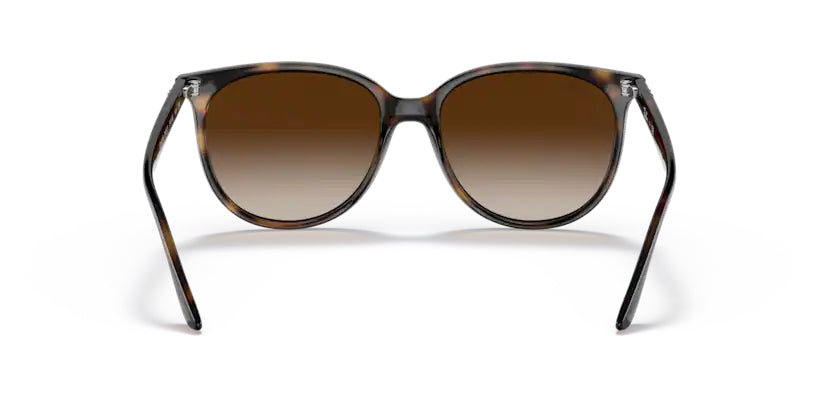 
                  
                    Ray-Ban Havana- Brown Gradient - biket.co.za
                  
                