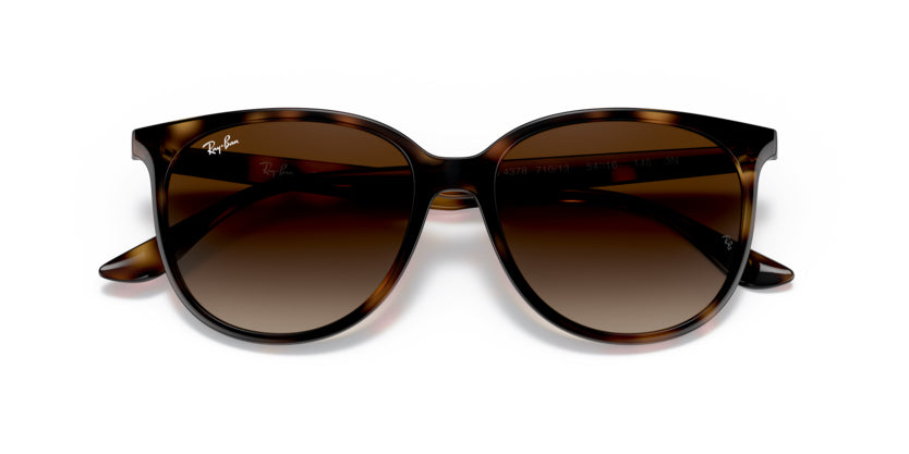 
                  
                    Ray-Ban Havana- Brown Gradient - biket.co.za
                  
                