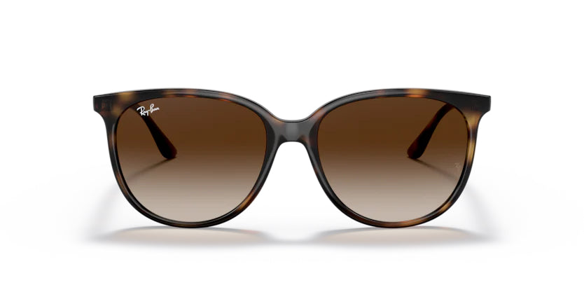 Ray-Ban Havana- Brown Gradient - biket.co.za