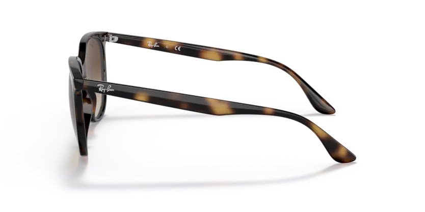 
                  
                    Ray-Ban Havana- Brown Gradient - biket.co.za
                  
                