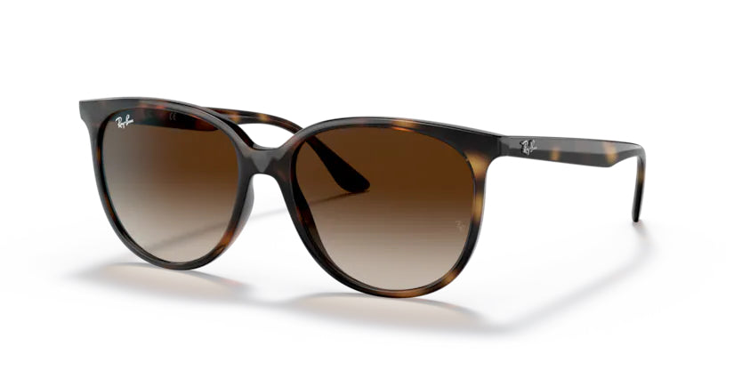 Ray-Ban Havana- Brown Gradient - biket.co.za