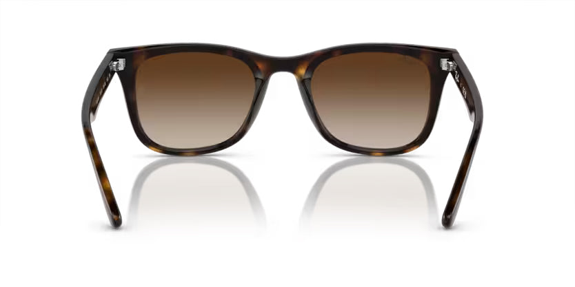 
                  
                    Ray-Ban Havana- Brown Gradient - biket.co.za
                  
                