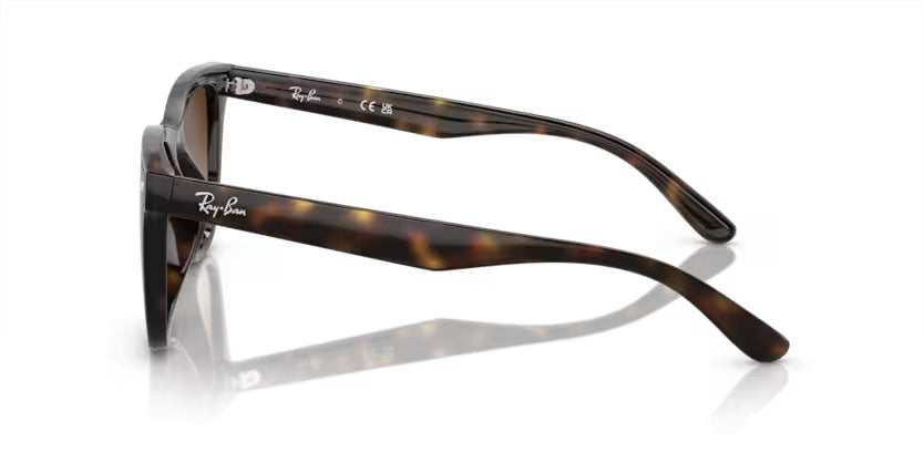 
                  
                    Ray-Ban Havana- Brown Gradient - biket.co.za
                  
                