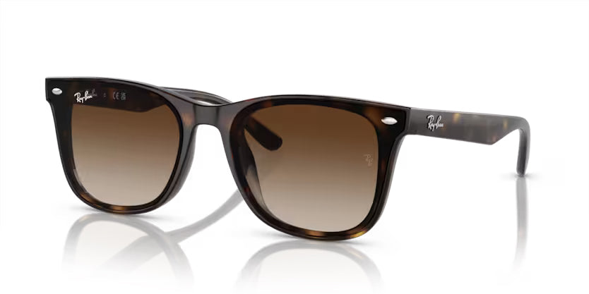 Ray-Ban Havana- Brown Gradient - biket.co.za