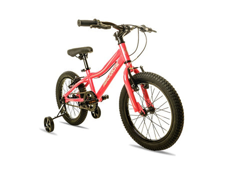 Avalanche Dora Girls 16" Bike- Pink