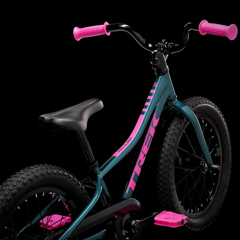
                  
                    2024 Trek Precaliber 16 Coaster Brake - Dark Aquatic - biket.co.za
                  
                