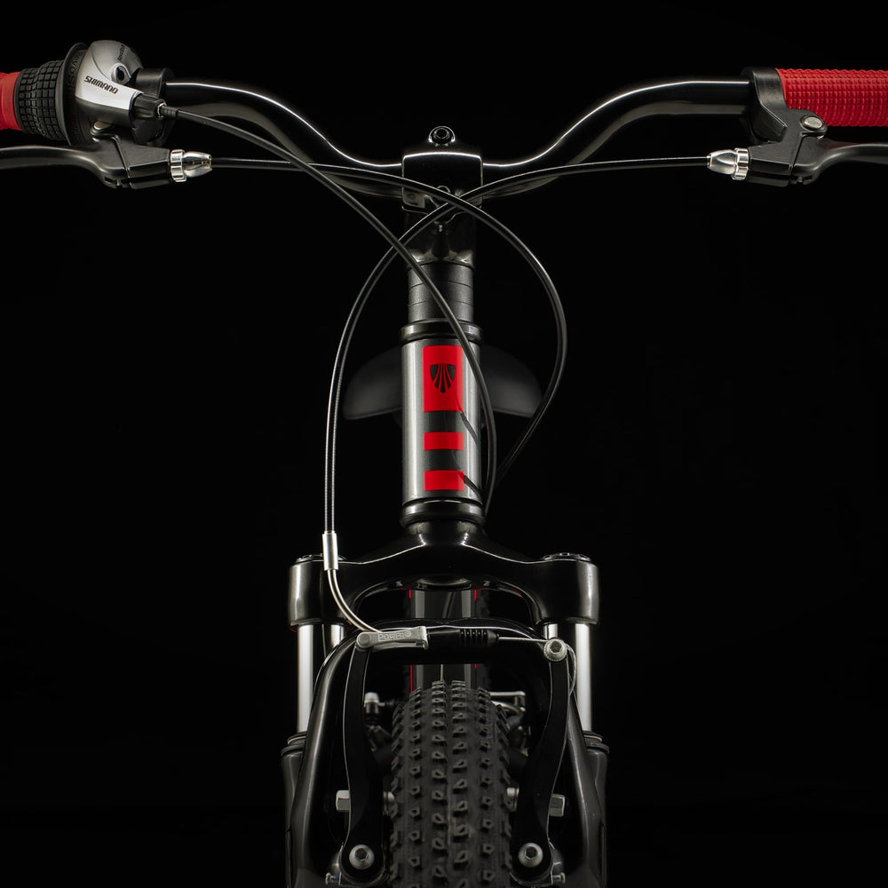 
                  
                    2024 Trek Precaliber 20 inch 7-Speed - biket.co.za
                  
                