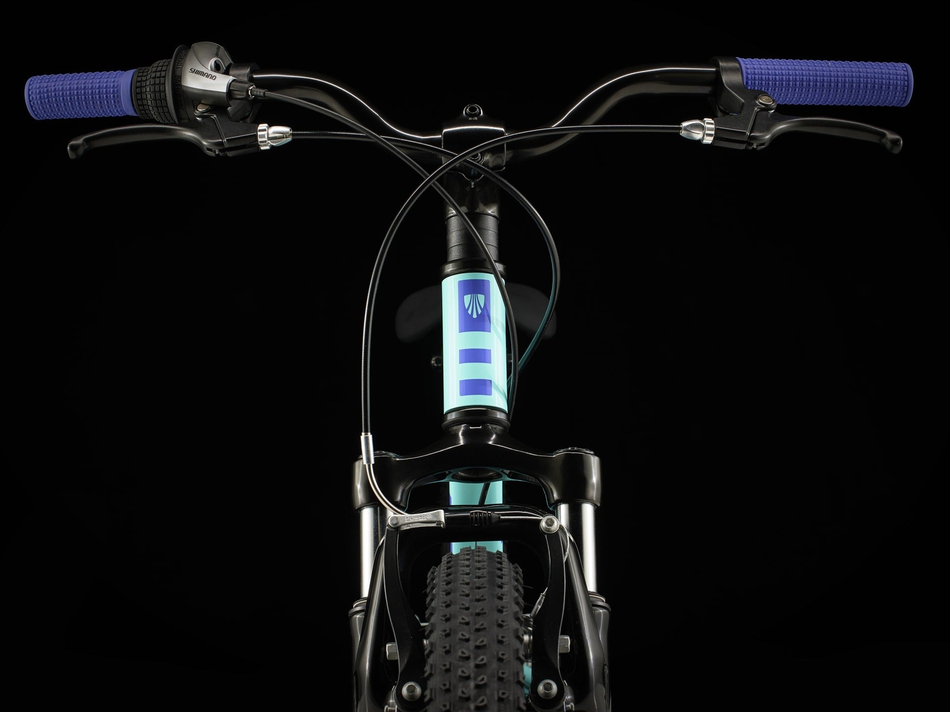 2026 Trek Precaliber 24 | Kids' Bike South Africa – biket.co.za