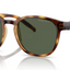 Arnette Barranco- Dark Havana Polarized Dark Green