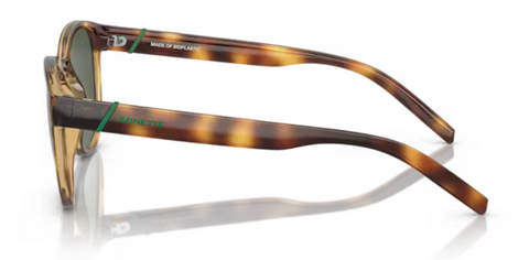 Arnette Barranco- Dark Havana Polarized Dark Green