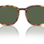 Arnette Barranco- Dark Havana Polarized Dark Green