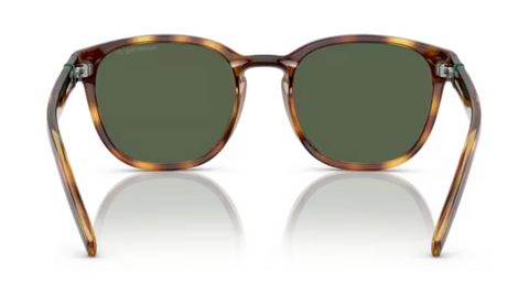 Arnette Barranco- Dark Havana Polarized Dark Green