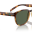 Arnette Barranco- Dark Havana Polarized Dark Green