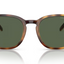 Arnette Barranco- Dark Havana Polarized Dark Green