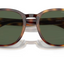 Arnette Barranco- Dark Havana Polarized Dark Green