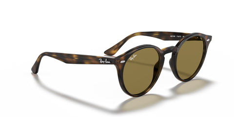 Ray-Ban Tortoise Light Havana - biket.co.za