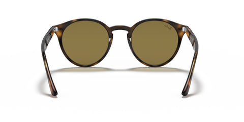 Ray-Ban Tortoise Light Havana - biket.co.za