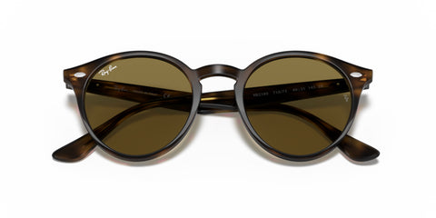 Ray-Ban Tortoise Light Havana - biket.co.za