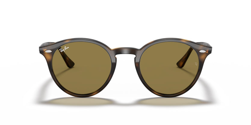 Ray ban havana round top