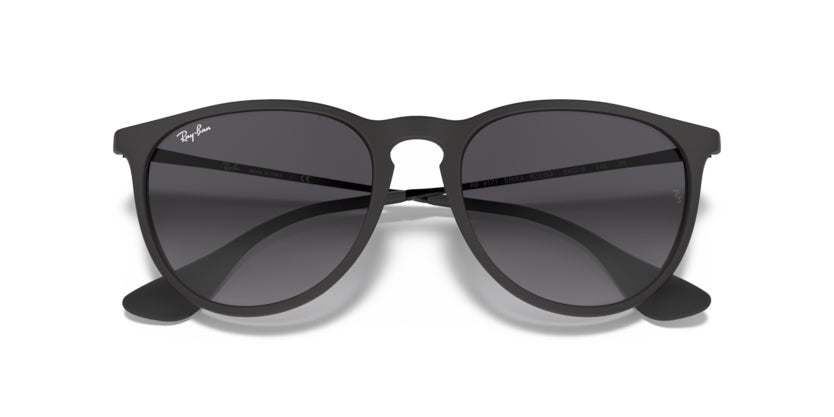 
                  
                    Ray-Ban Erika- Black - biket.co.za
                  
                