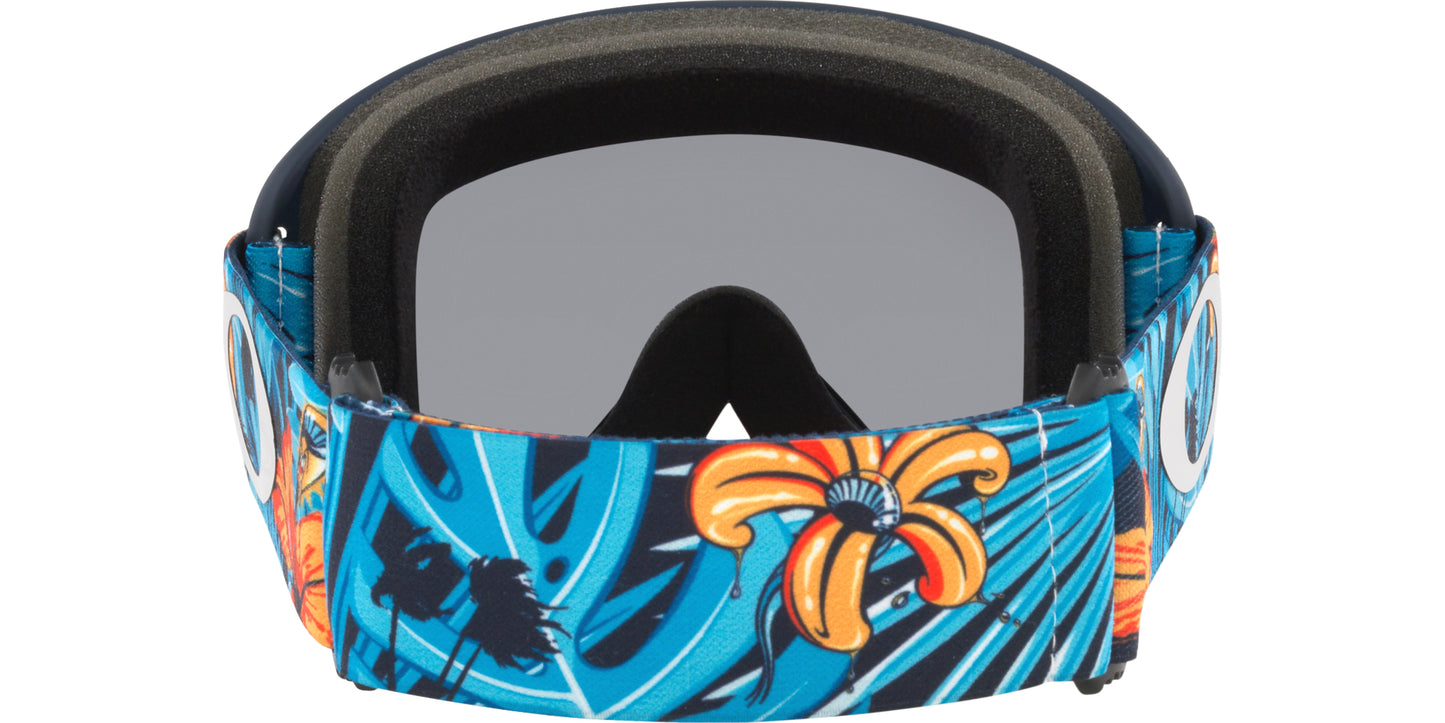 Oakley O-Frame® 2.0 PRO MX Troy Lee Designs Series Goggles - biket.co.za