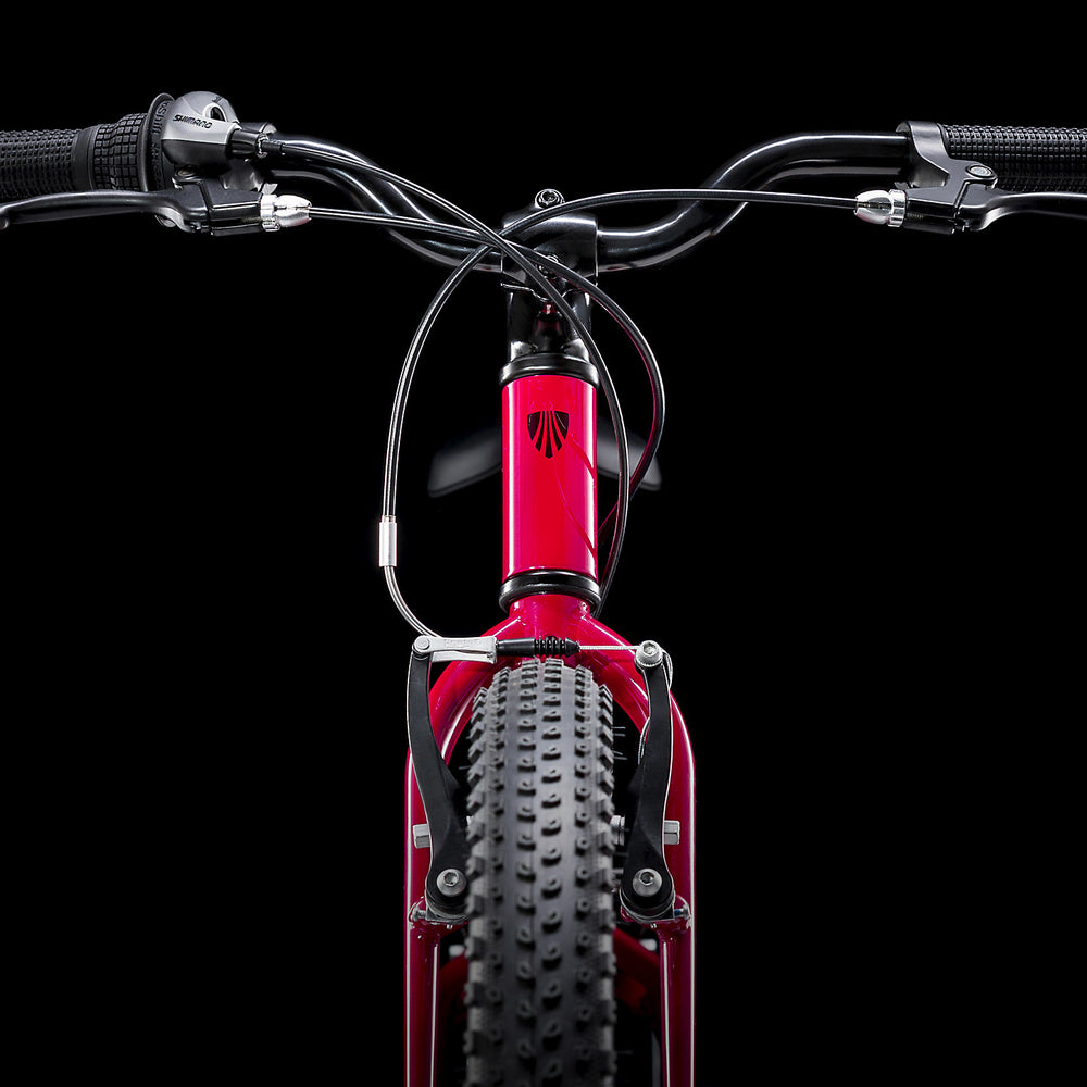
                  
                    2022 Trek Precaliber 24 8-speed - Magenta - biket.co.za
                  
                